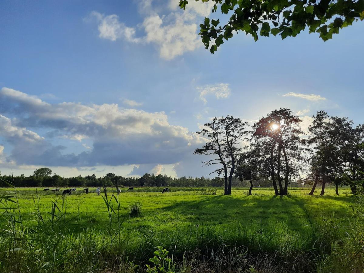 Pipowagen 'T Strunerke Augustinusga Buitenkant foto